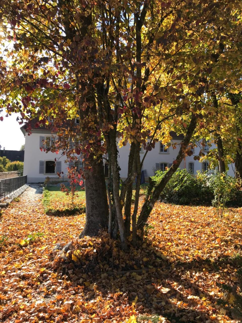 Manoir de la Côte-Dieu Porrentruy Exterior foto